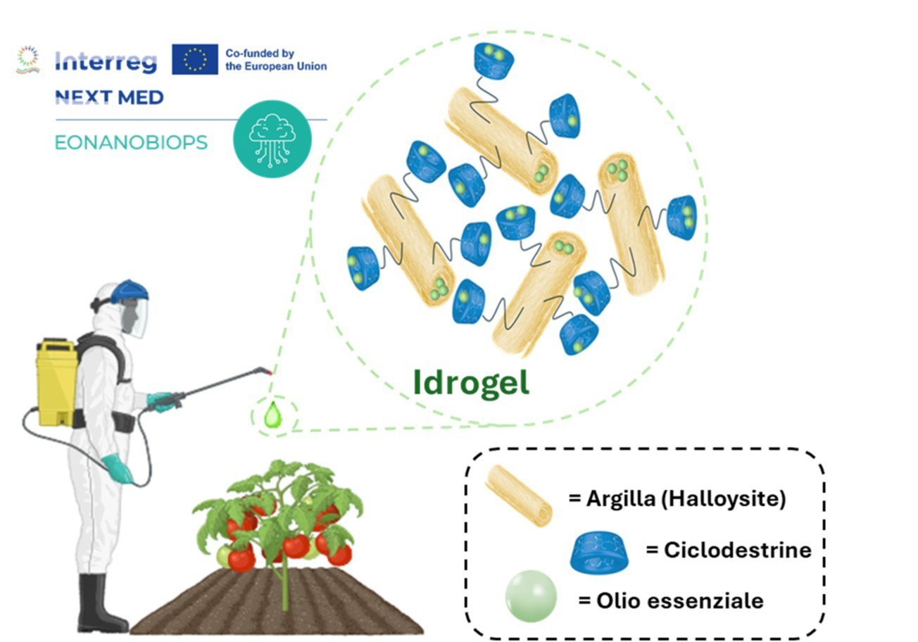 Interazione olio-argilla