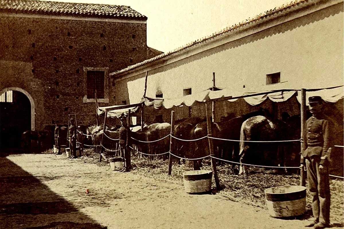 Una immagine tratta dalla copertina del volume di Andrea Dugo