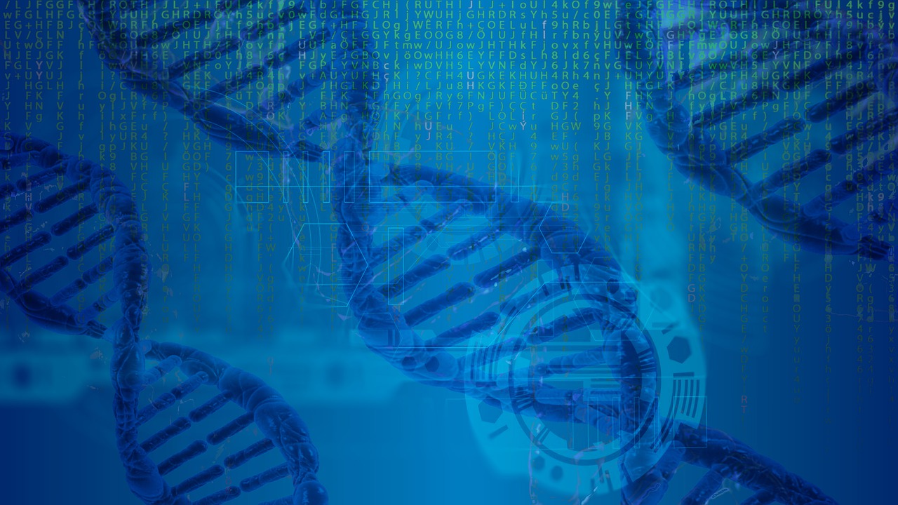 dna bioinformatica