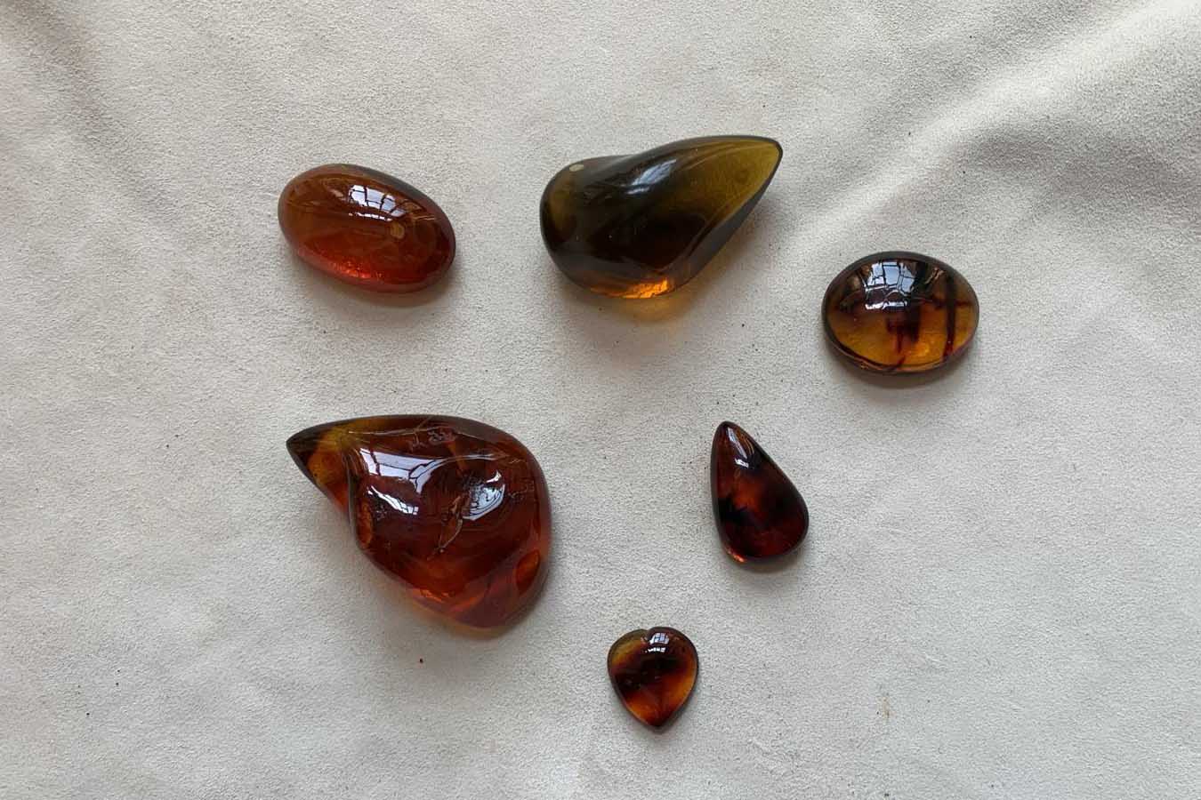 Alcune ambre sposte al Museo di Mineralogia, Petrologia e Vulcanologia