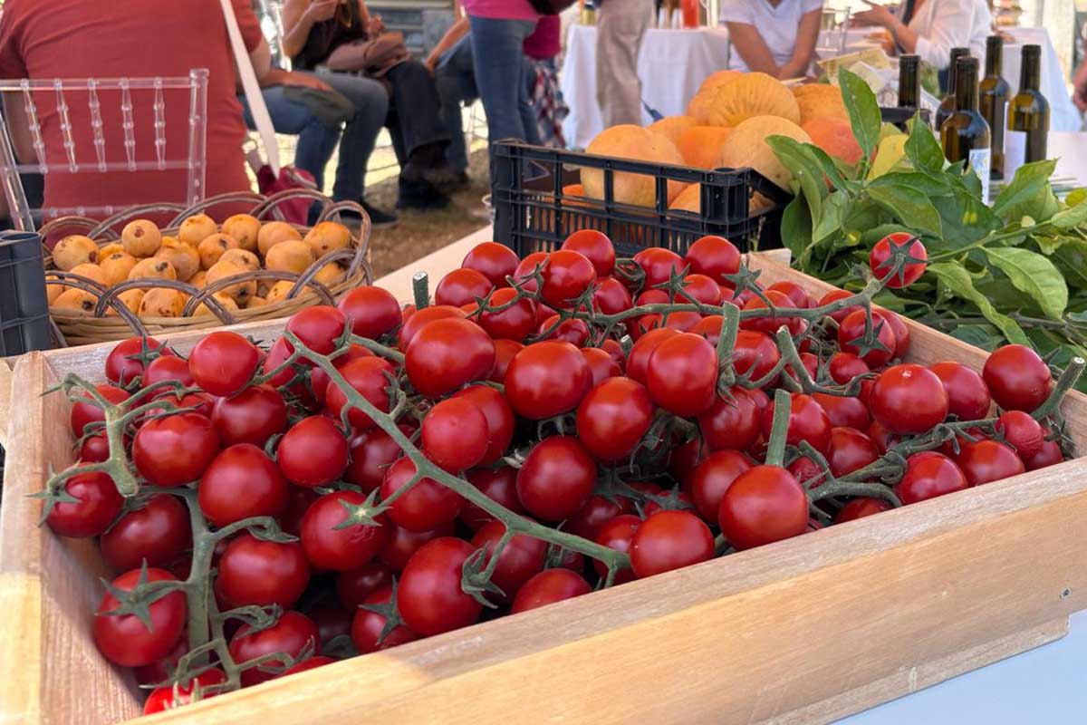 Alcuni prodotti dell'Azienda Agraria Sperimentale