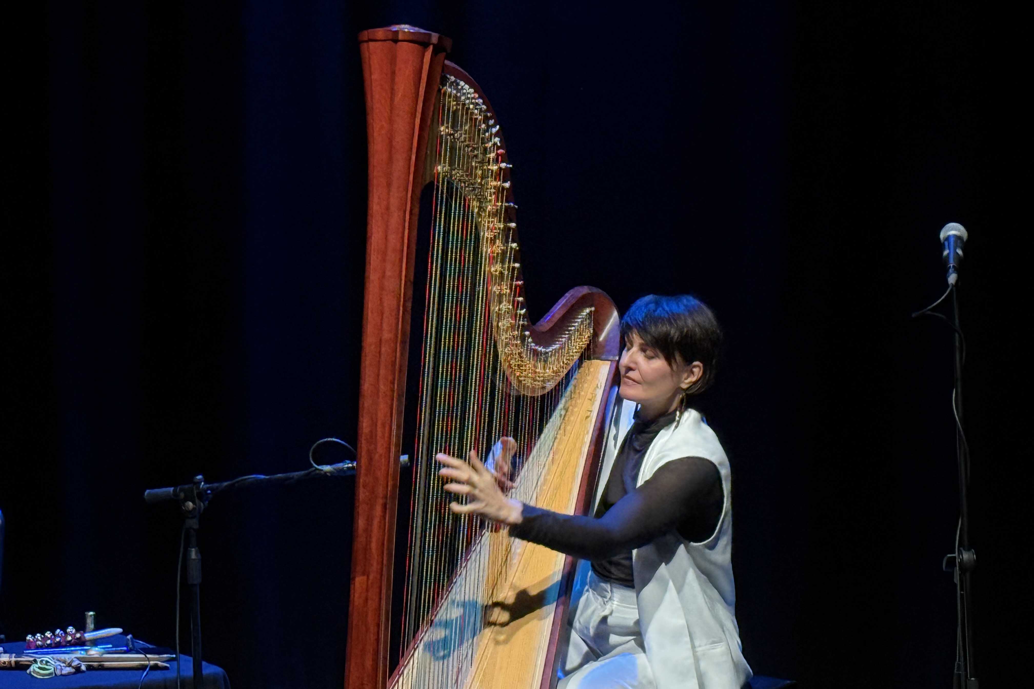 Alina Bzhezhinska in un momento del concerto