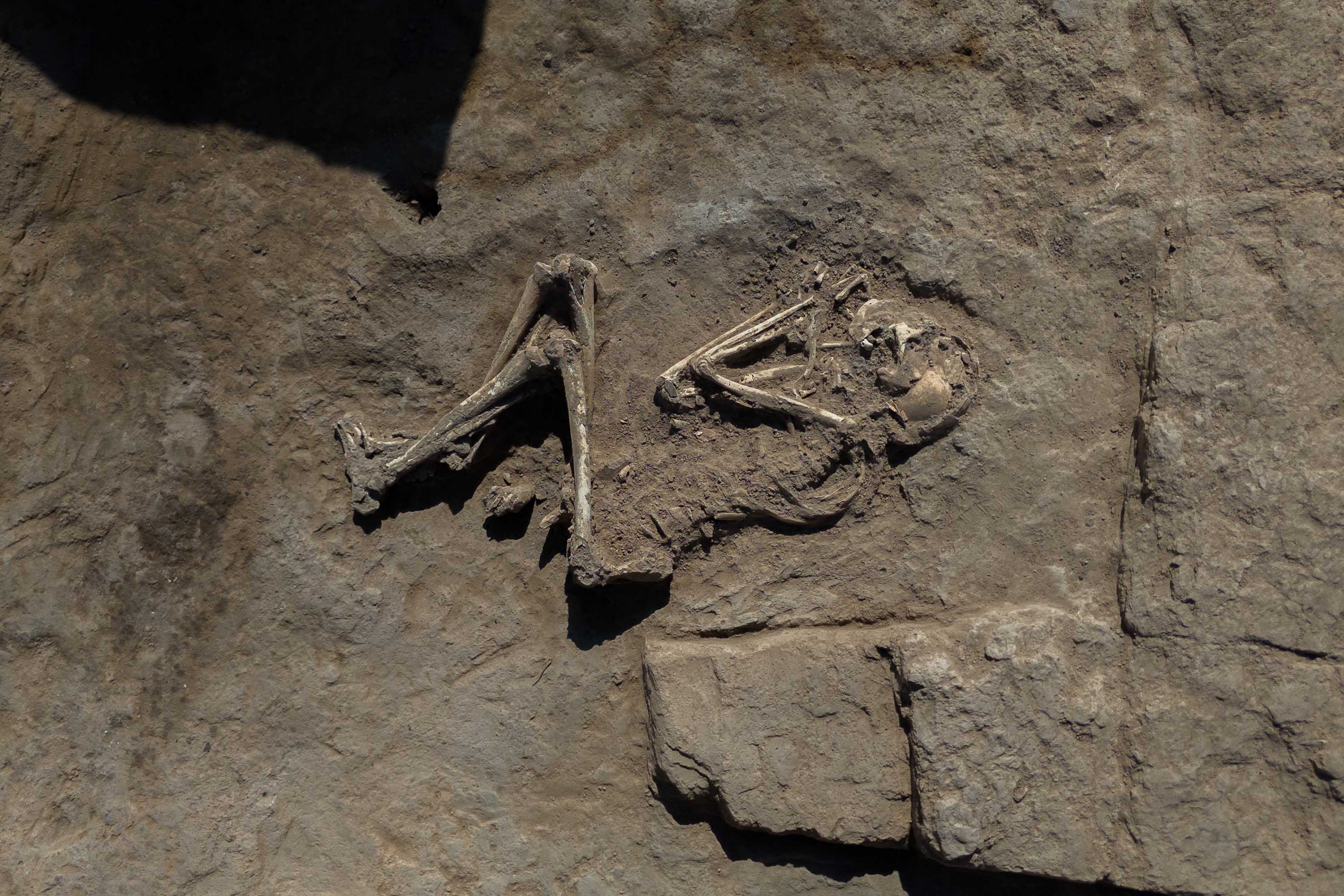 Scheletro in posizione fetale