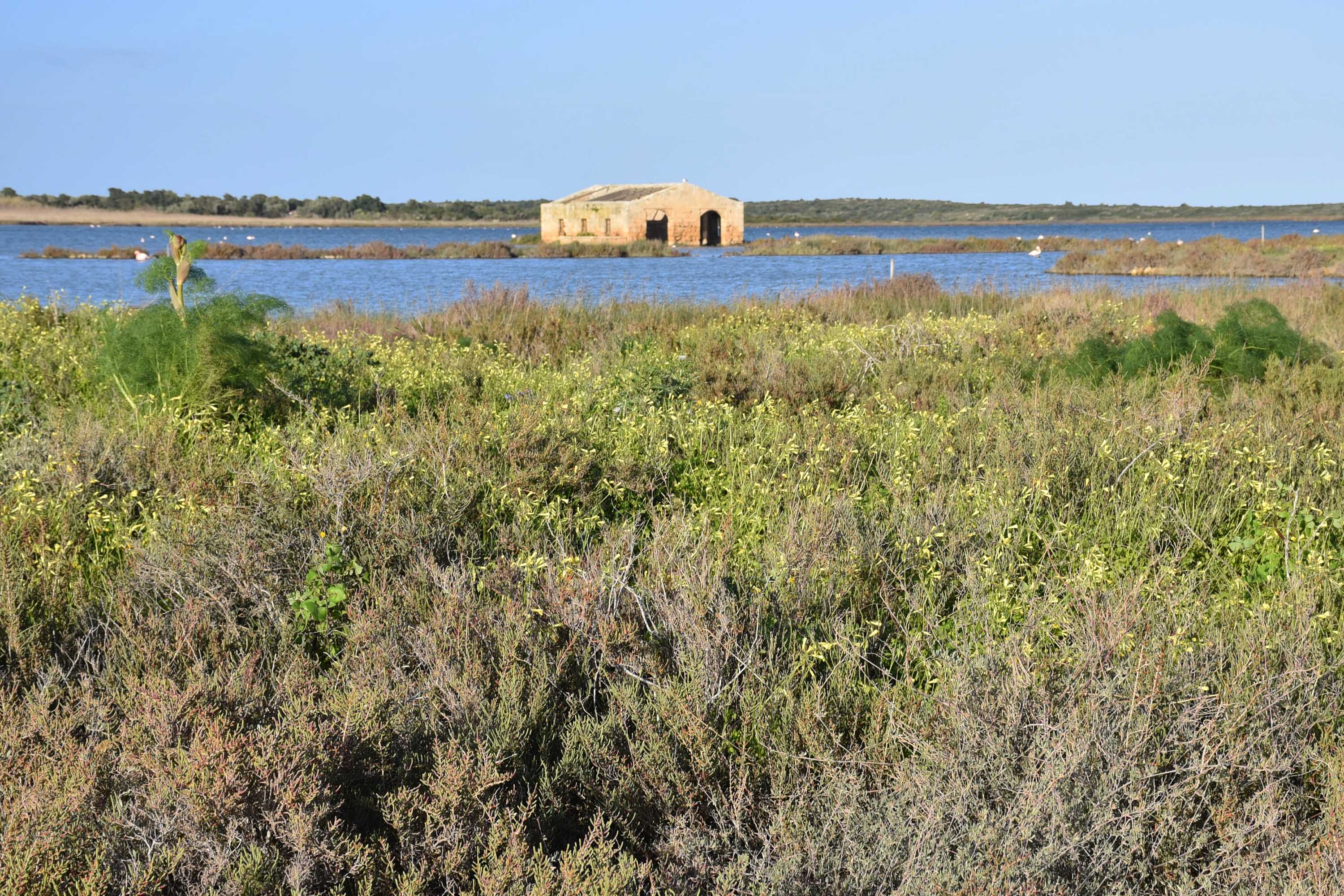 Uno scorcio dell'Amp Plemmirio