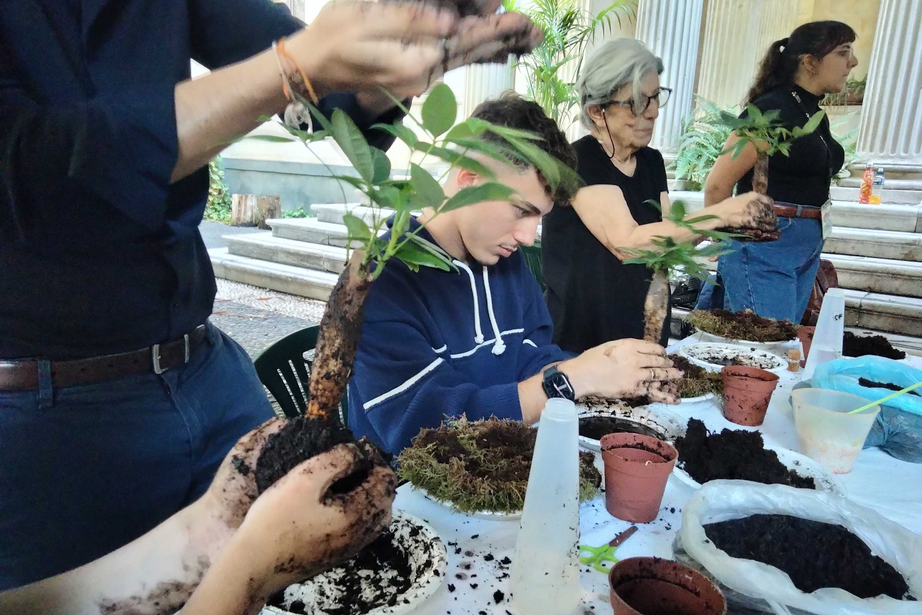 Un momento della realizzazione del Kokedama
