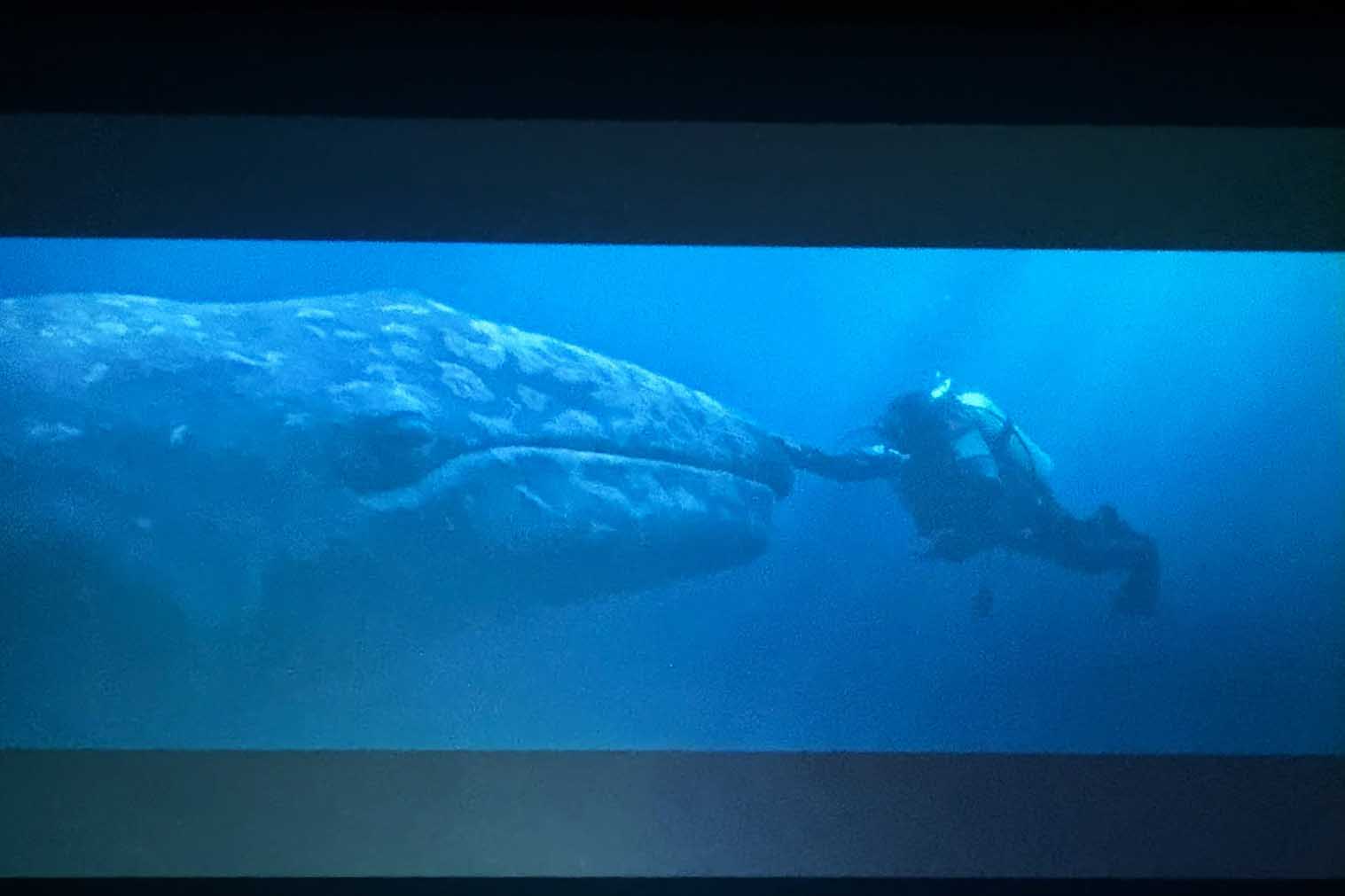 Un frame del film