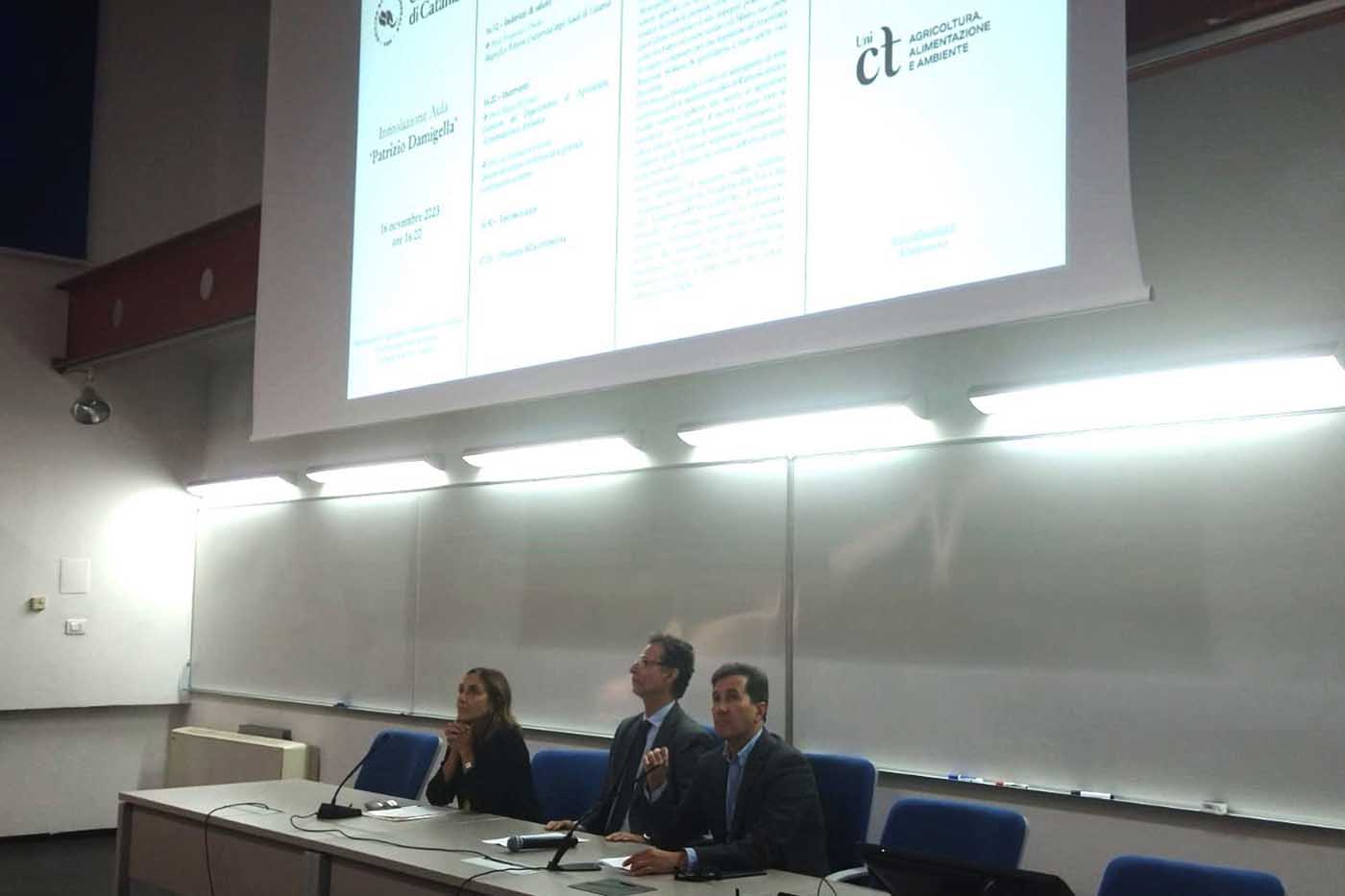 Un momento dell'intervento del prof. Mario D'Amico