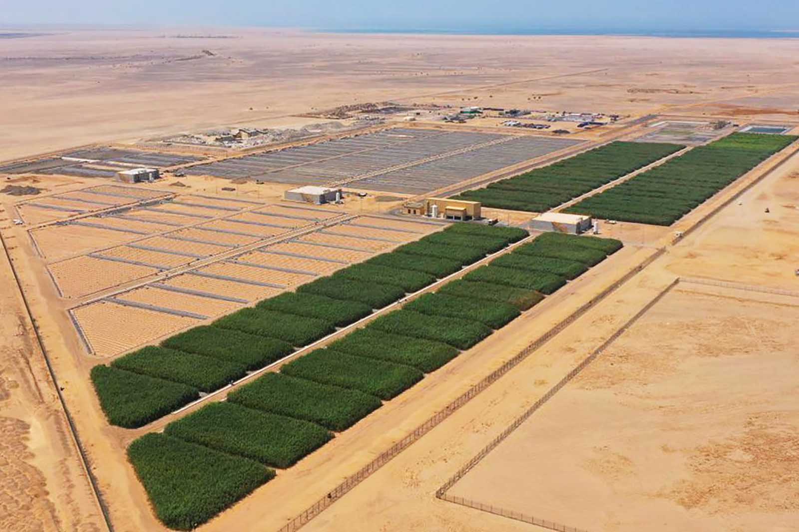 red sea projct - Municipal wastewater treatment and reuse - large scale (Saudi Arabia)