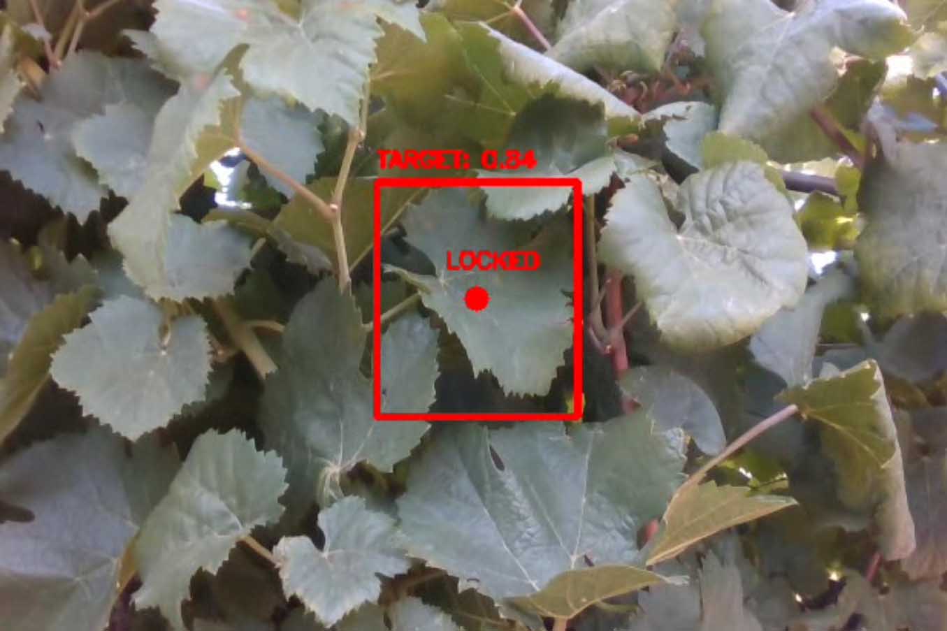 Analisi