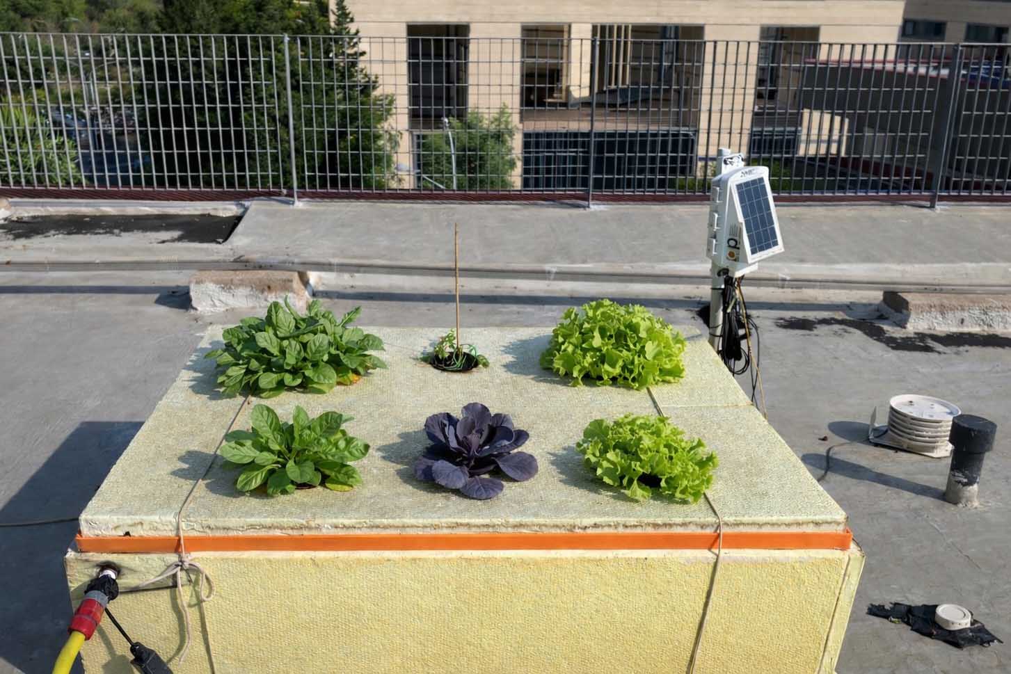 Il prototipo del sistema brevettato