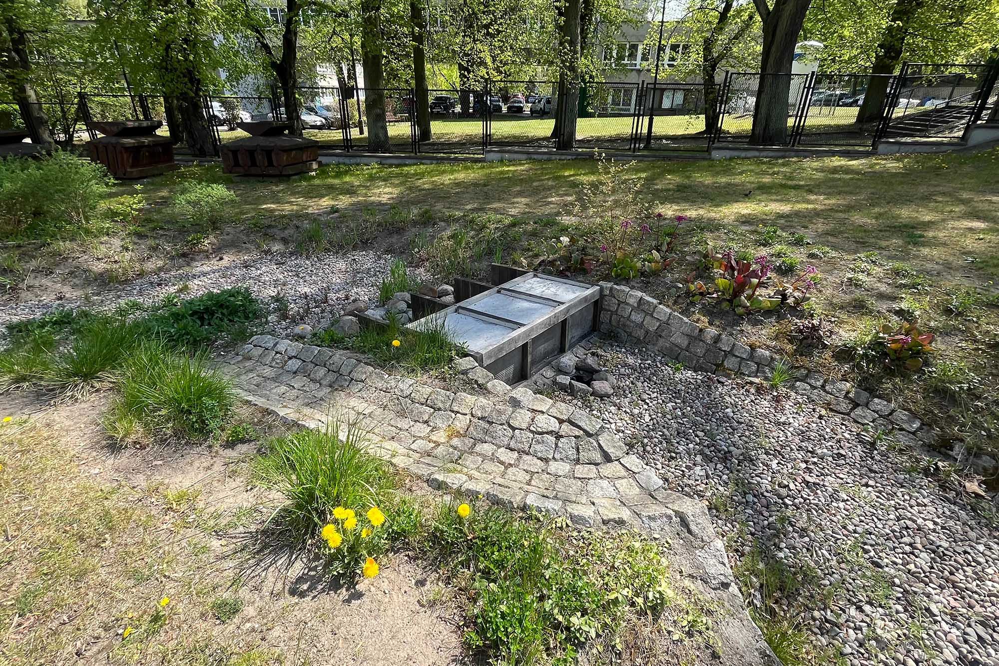 esempi di giardini della pioggia a Danzica in polonia