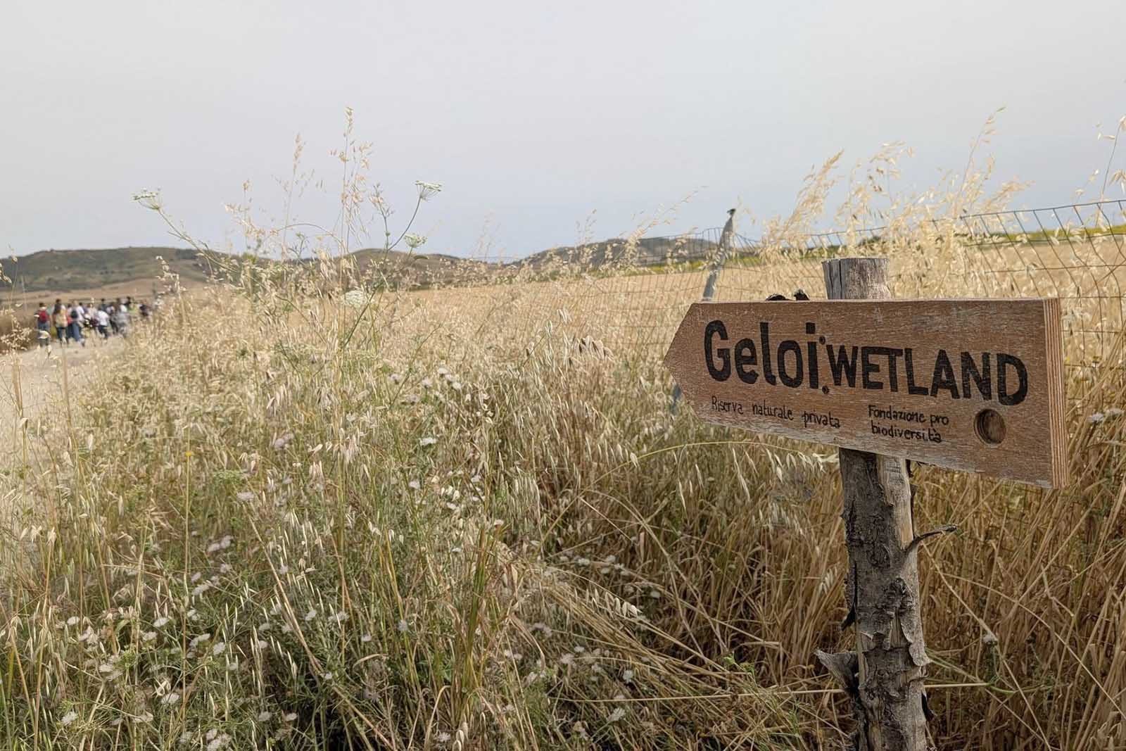 Geloi wetland con partecipanti alla tappa Gela-Niscemi del cammino della via Francigena Fabaria -foto Davide Pepi