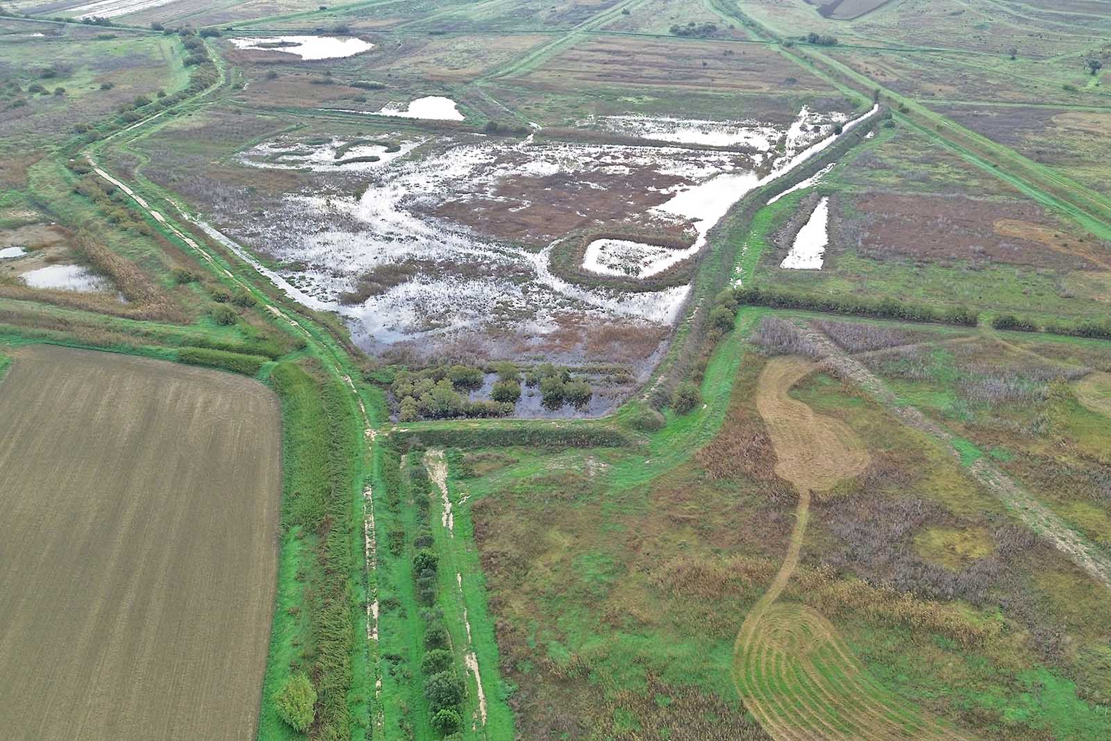 Geloi wetland Novembre 2025