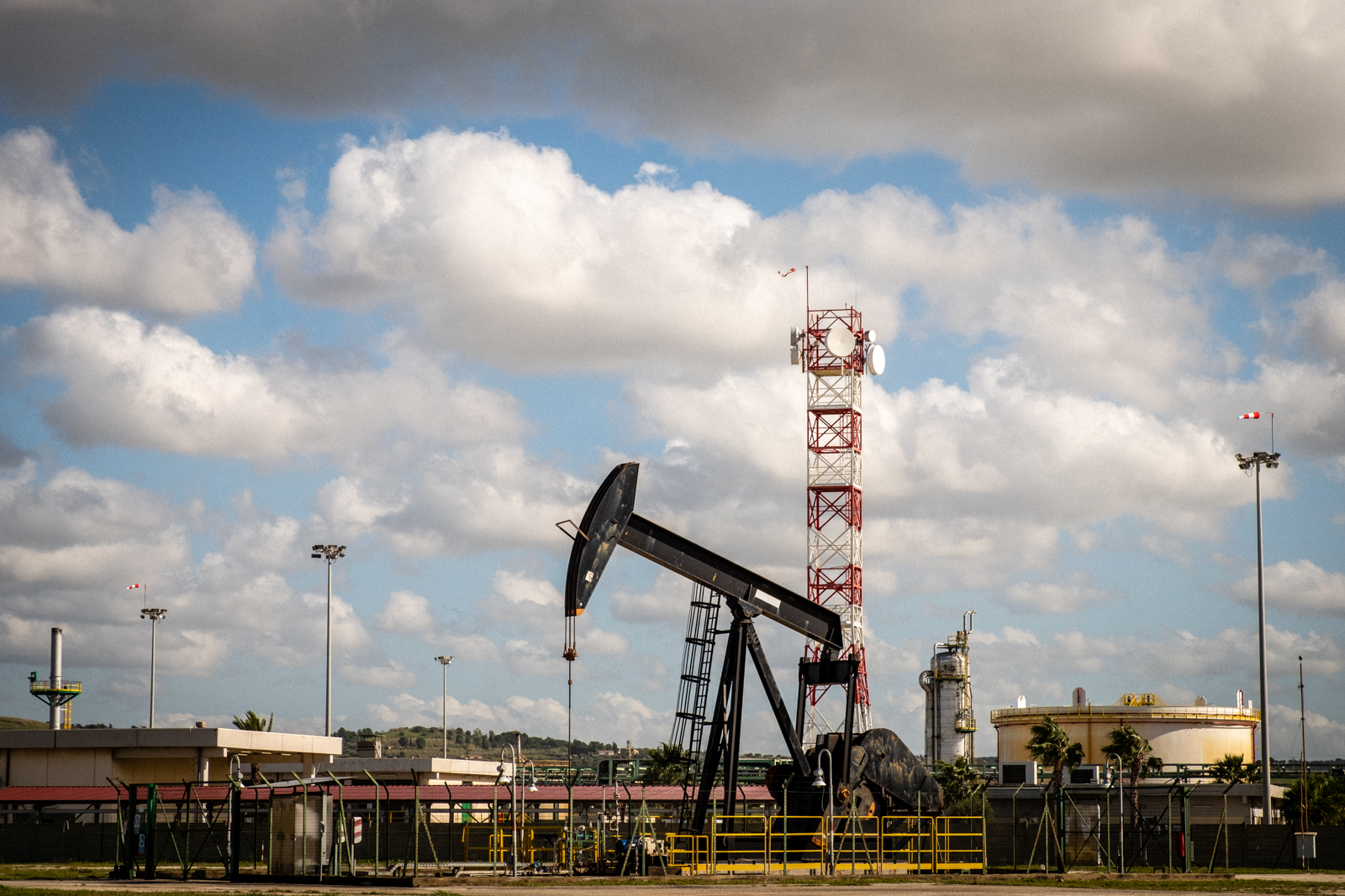 Piantagioni fossili (foto Scardozzi, 2019)