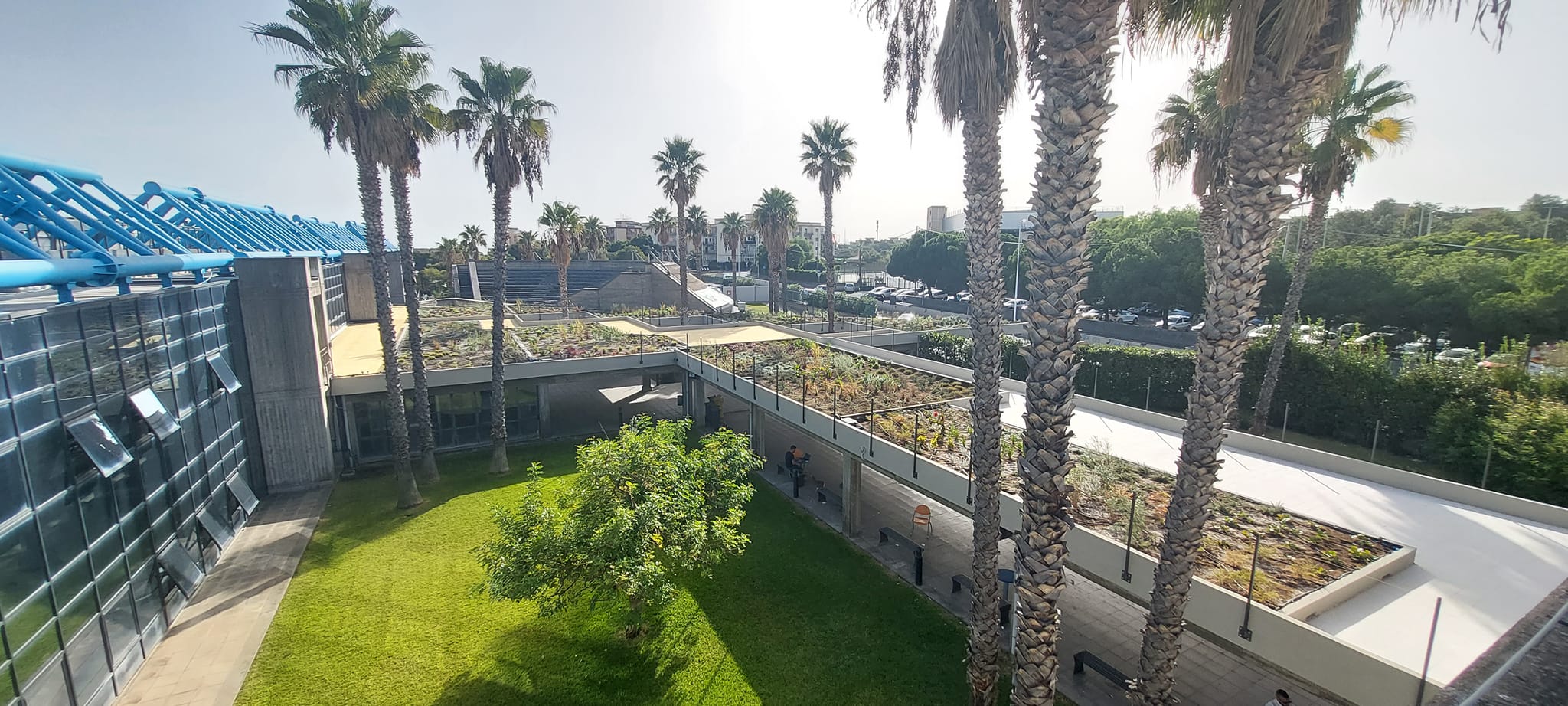 Il tetto verde del Polo Bioscientifico dell'Università di Catania