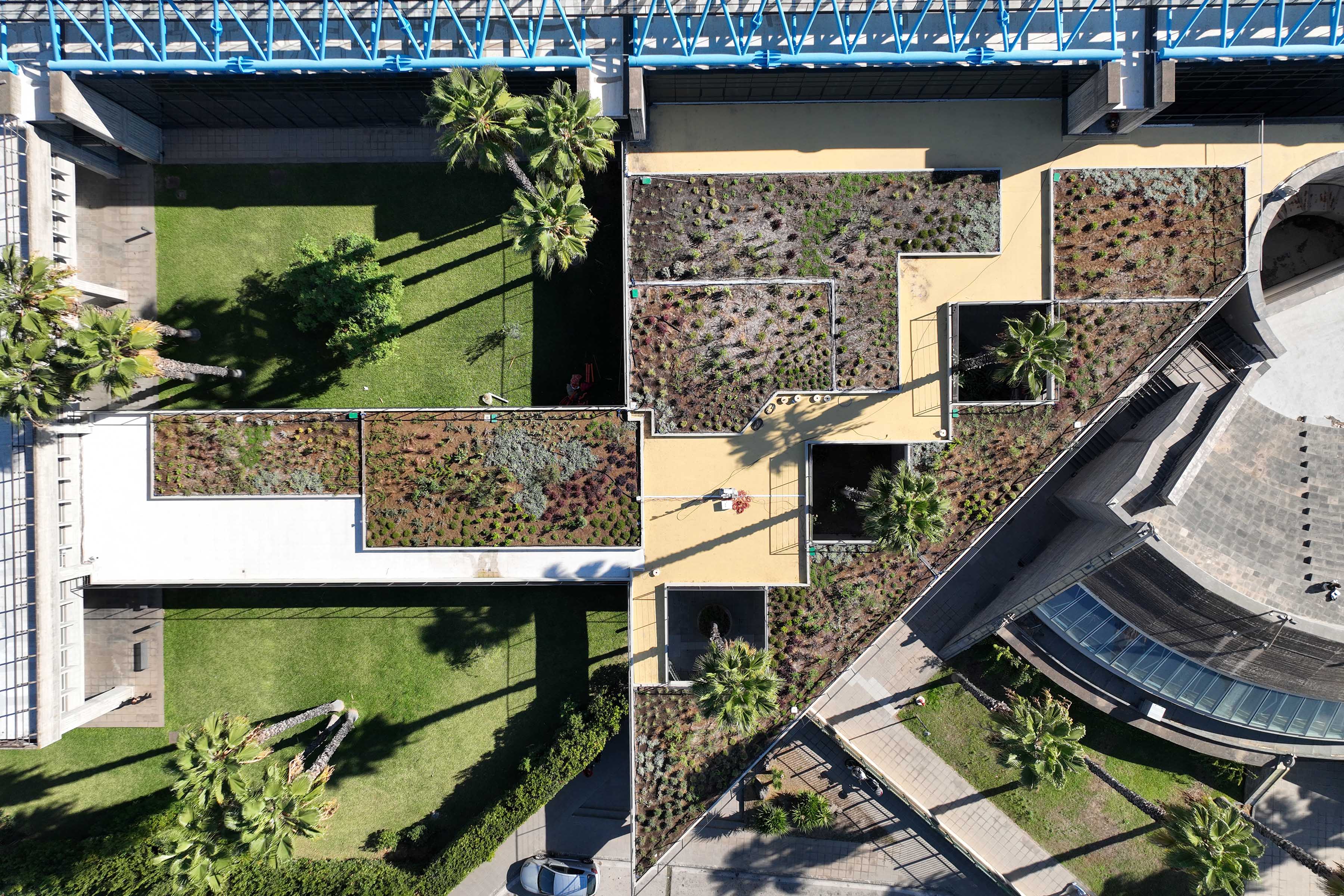 Veduta aerea del tetto verde realizzato al Polo Bioscientifico dell'Università di Catania