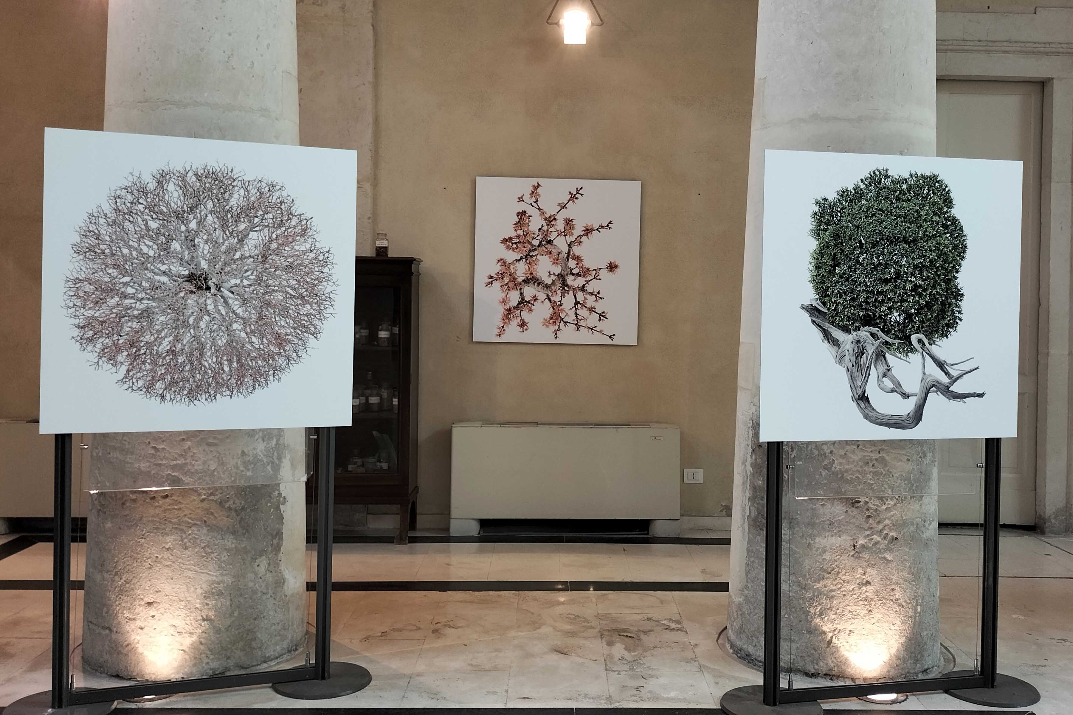 Alcune opere in mostra all'Orto Botanico