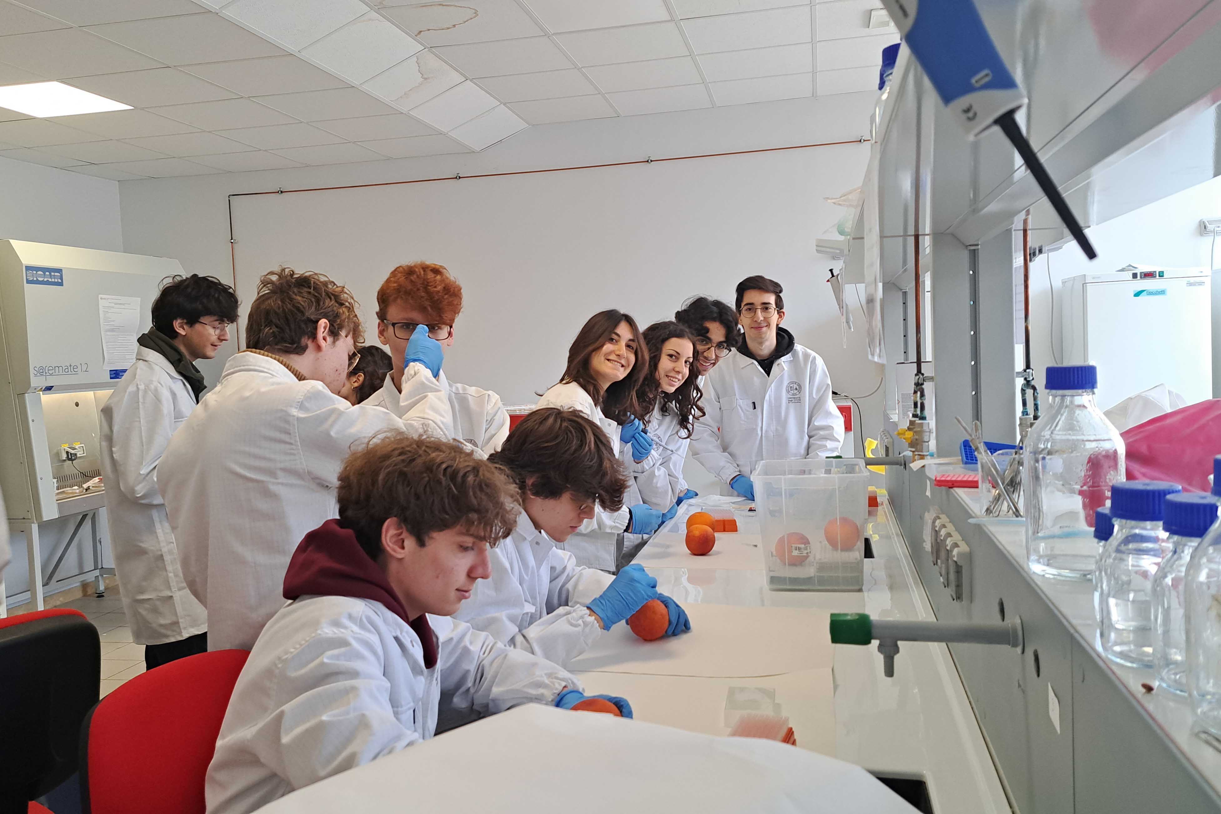 Studenti nei laboratori del Di3A