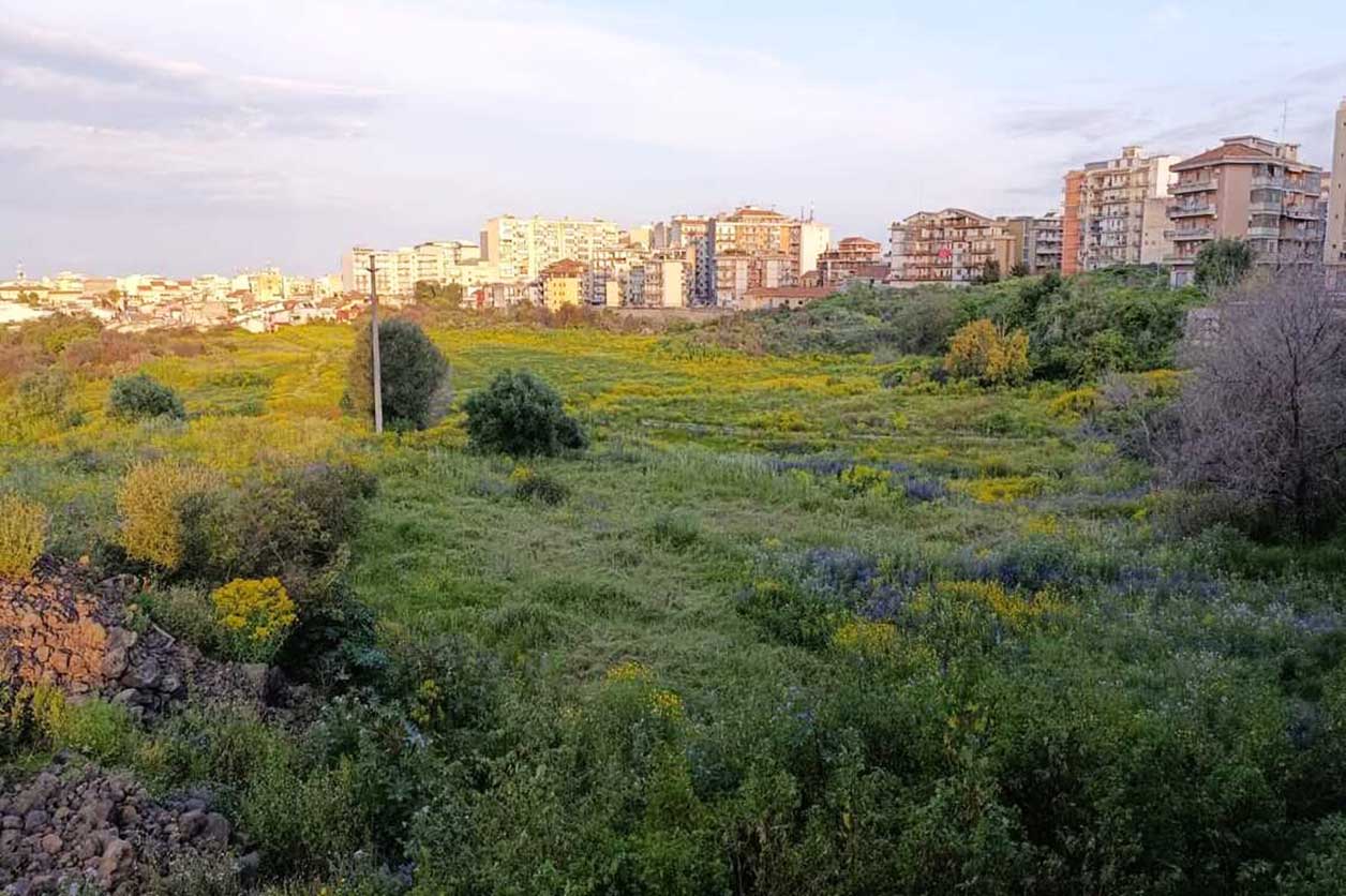 Una veduta dell’area (foto: Italia che cambia)