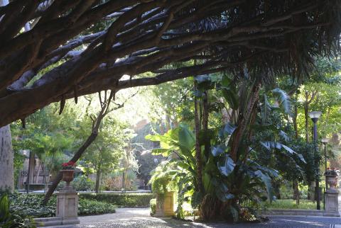 Orto Botanico di Catania