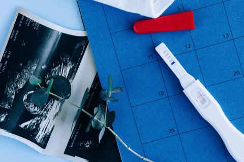 fertilità