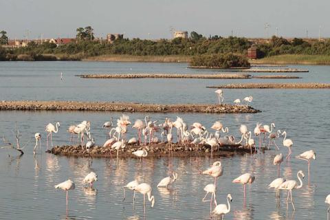 Saline di Priolo