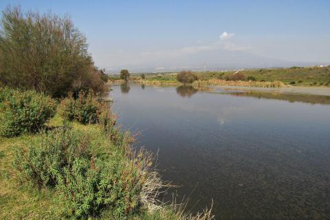 Oasi di Ponte Barca (foto Wikipedia)