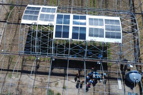 L'impianto agrivoltaico di Carlentini
