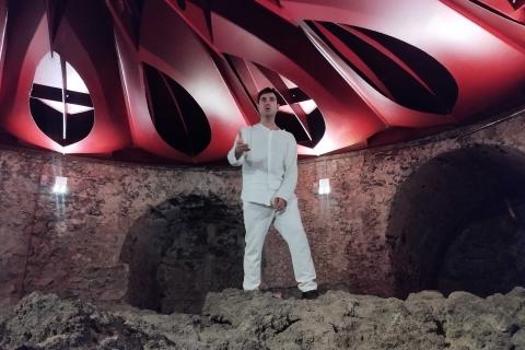 Angelo D'Agosta nella Sala Rossa