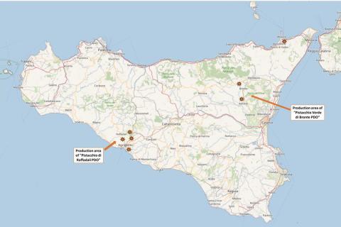 La mappa siciliana della produzione di Pistacchio verde