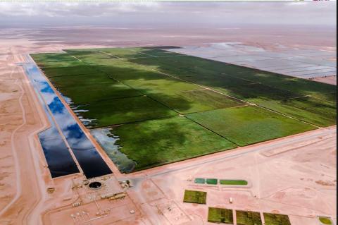 Oily produced water treatment and reuse (Oman)