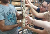 Studenti e ricercatori Unict a lavoro sui reperti