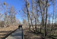Natur Park Südgelände_Fabrizio Foti