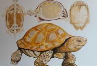 L’architettura della vita di Martina Lucibello