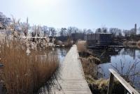 Floating University_Benedetto D'Antoni