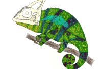 Oltre la pelle di Morgana Di Maria