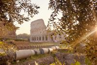 Colosseo del Tempio di Venere e Roma (credit "Parco archeologico del Colosseo")