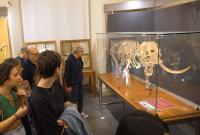 Visita al Palazzo centrale