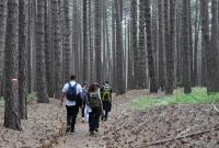 Pineta di Monte Albano sull'Etna