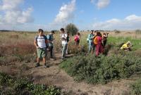 Escursione nell'area protetta Oasi del Simeto