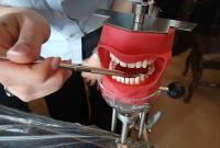 Studenti partecipanti al laboratorio di Scienze motorie