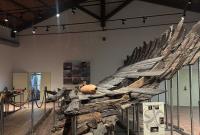 Museo Regionale Archeologico di Lilibeo di Marsala 