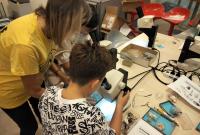 La vita marina al microscopio
