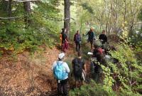Escursione lungo l'area Citelli-Serracozzo, Etna