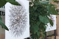 Alcune opere in mostra all'Orto Botanico