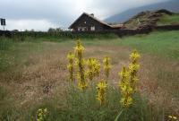 Rifugio della Galvarina sull'Etna