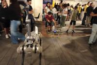 Il cane robot al Palazzo Platamone