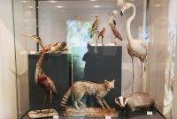 Un particolare del Museo dei Saperi e delle Mirabilia Siciliane