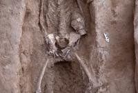 uno degli scheletri ritrovati