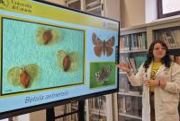 Presentazione delle attività sulla conservazione dei semi